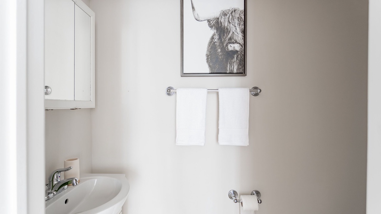 Photo of Bathroom in Rogers Park