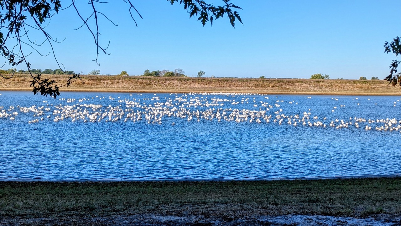 Photo of Others in Buffalo Prairie