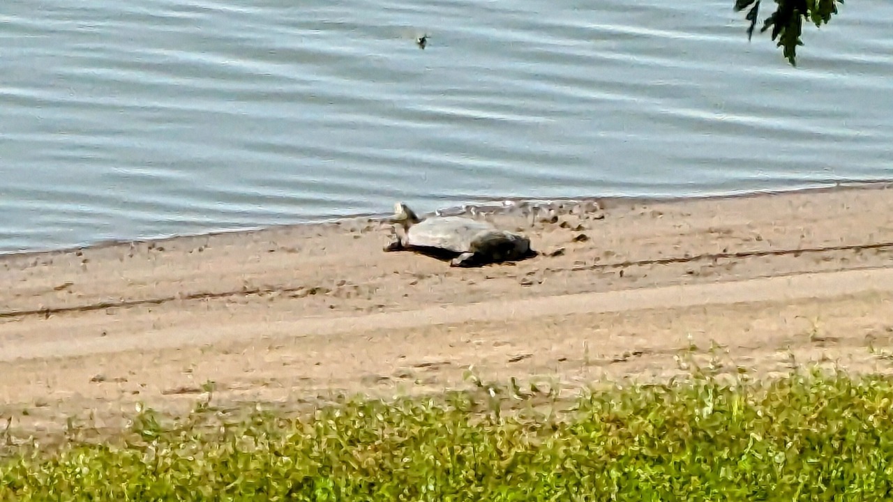 Photo of Others in Buffalo Prairie