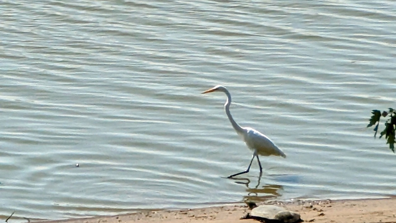 Photo of Others in Buffalo Prairie