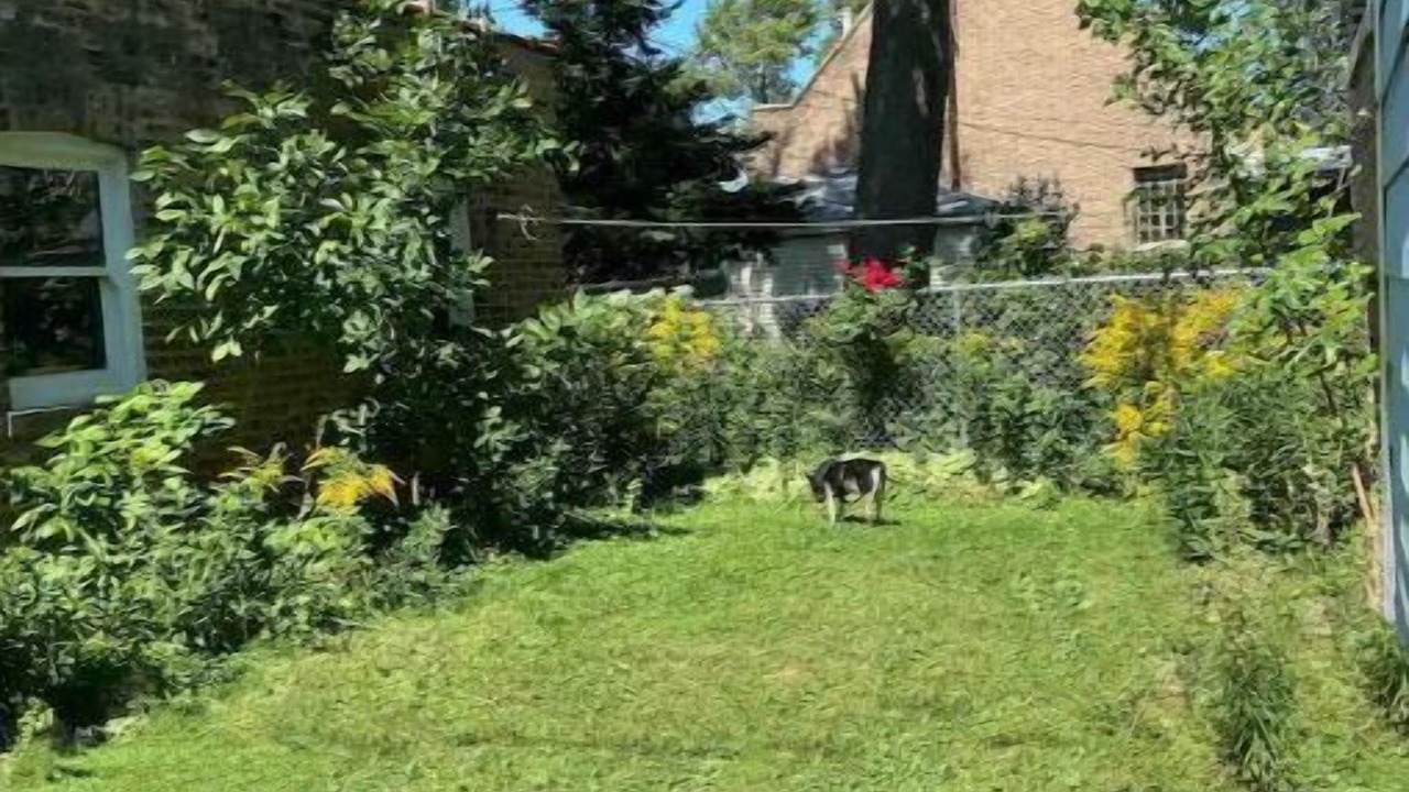 Photo of Outdoor in West Ridge