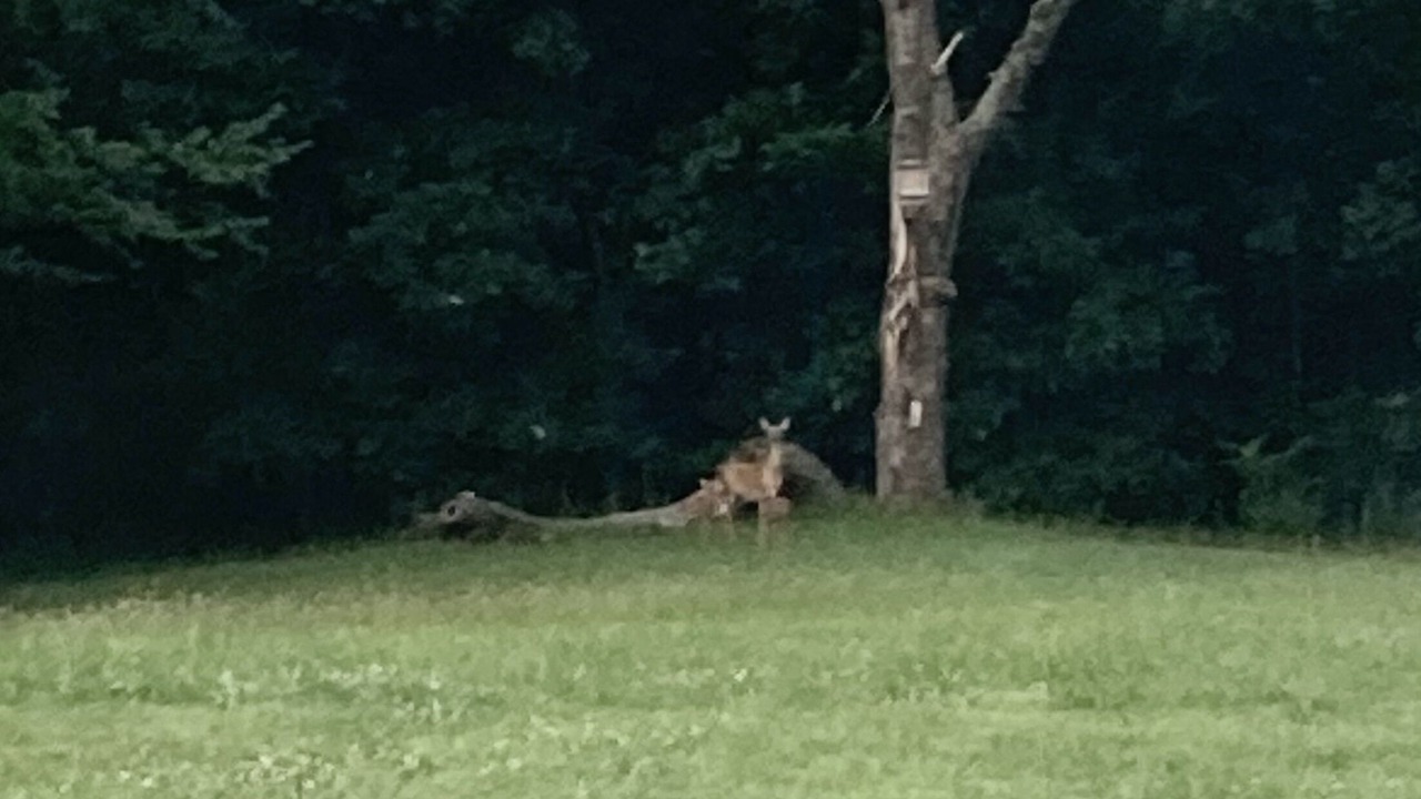 Photo of Outdoor in Loraine