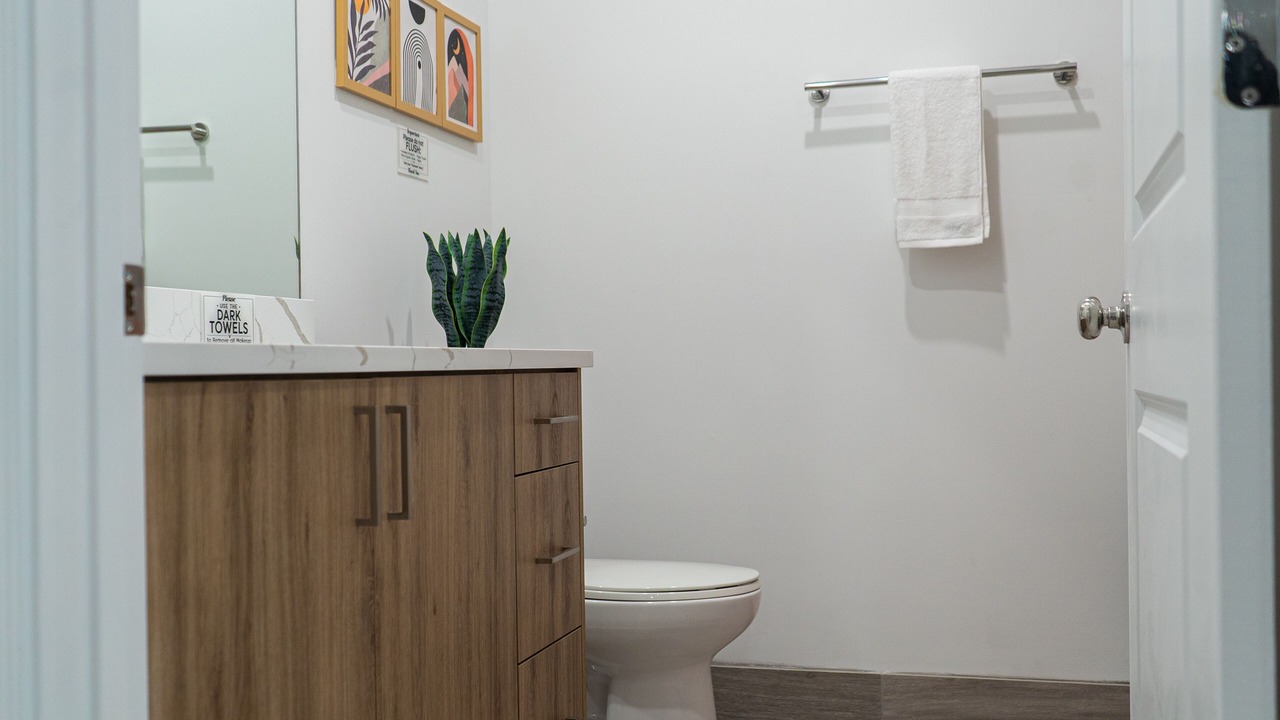 Photo of Bathroom in Woodlawn