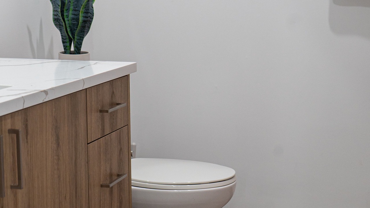 Photo of Bathroom in Woodlawn