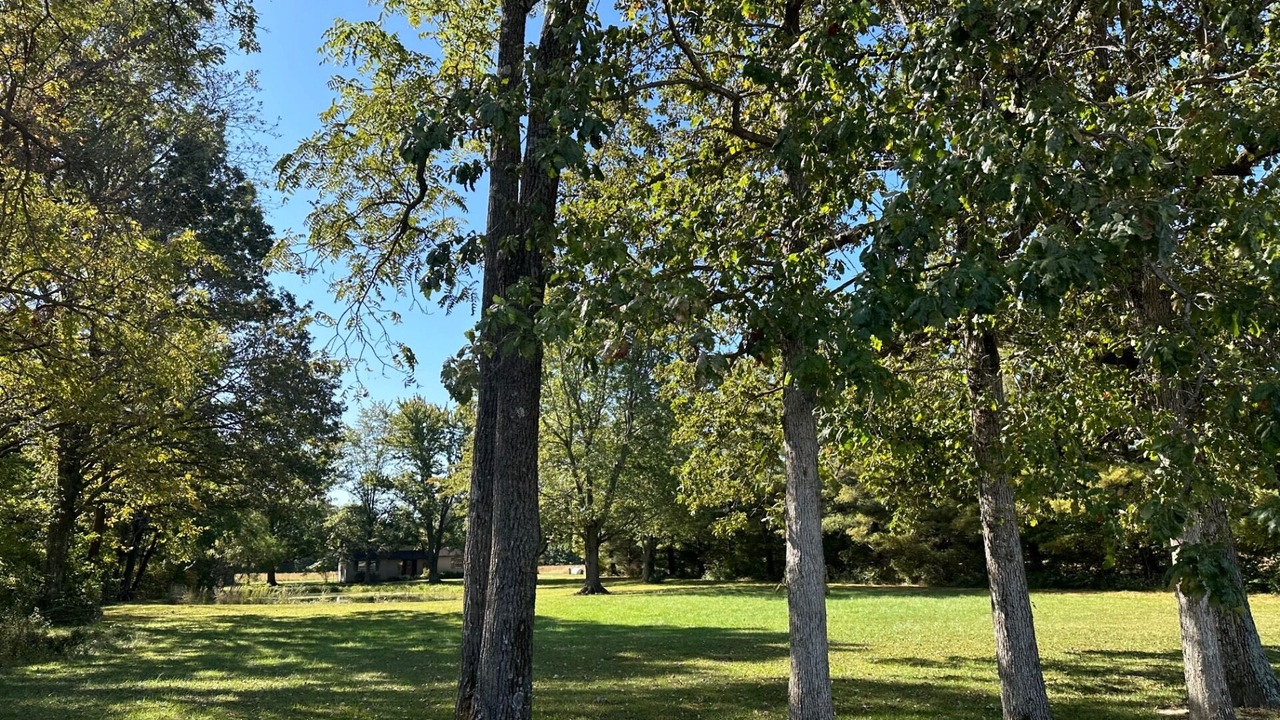 Photo of Outdoor in Flora
