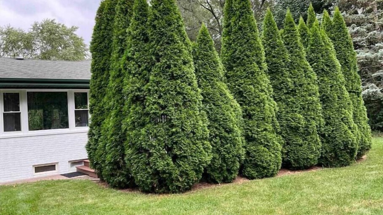 Photo of Outdoor in Roselle