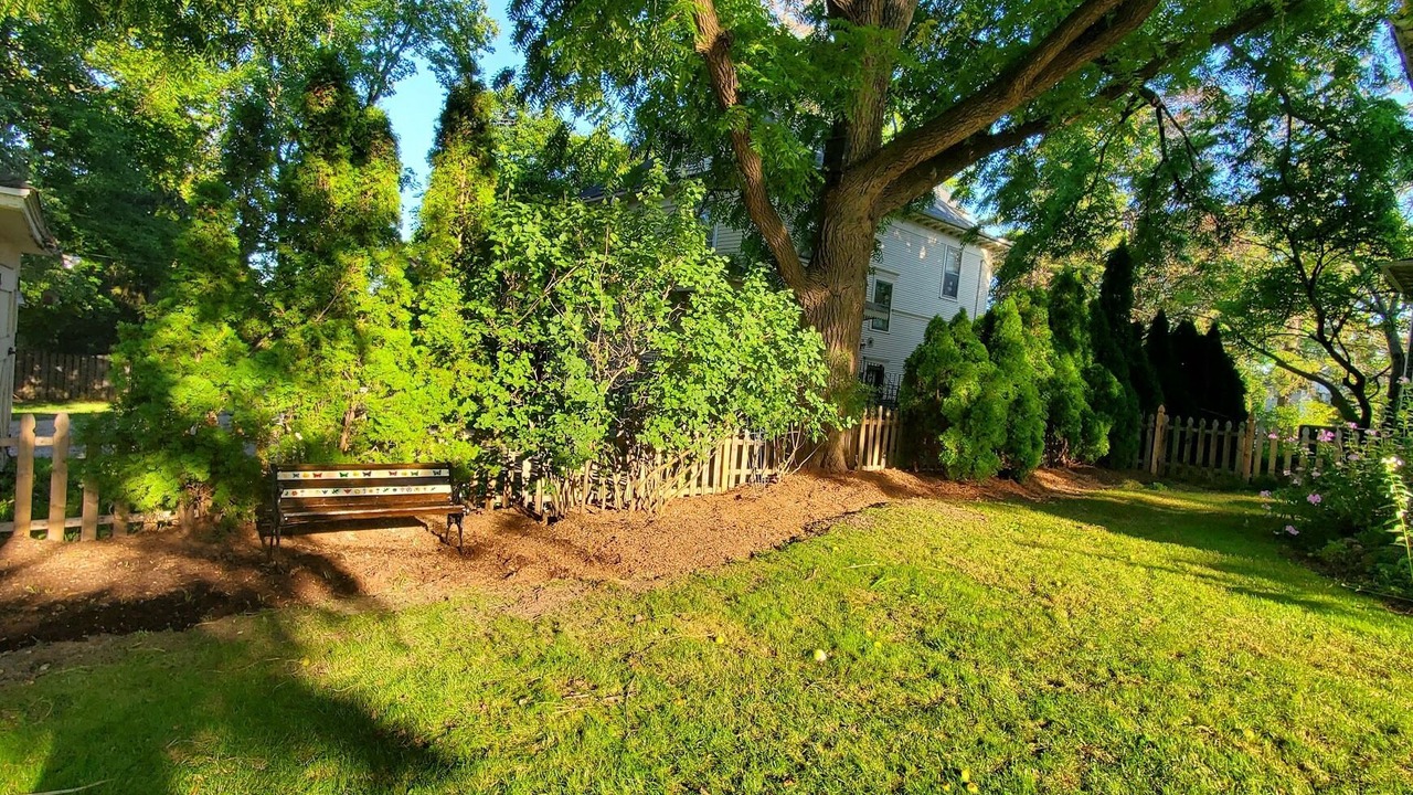 Photo of Outdoor in Woodstock