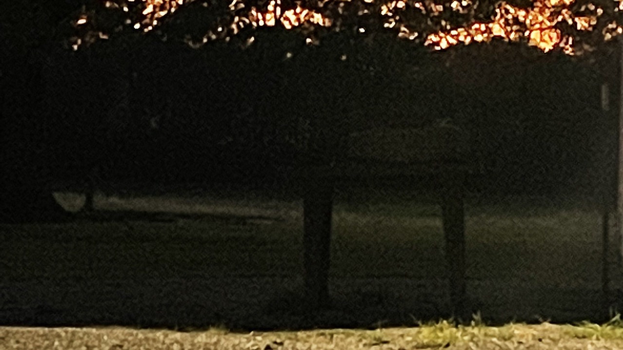 Photo of Outdoor in Janesville