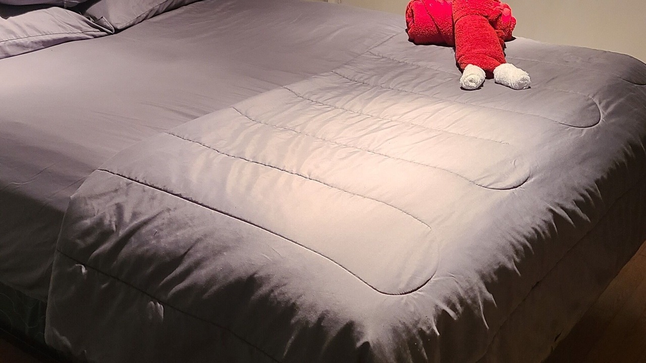 Photo of Bedroom in Calumet Park