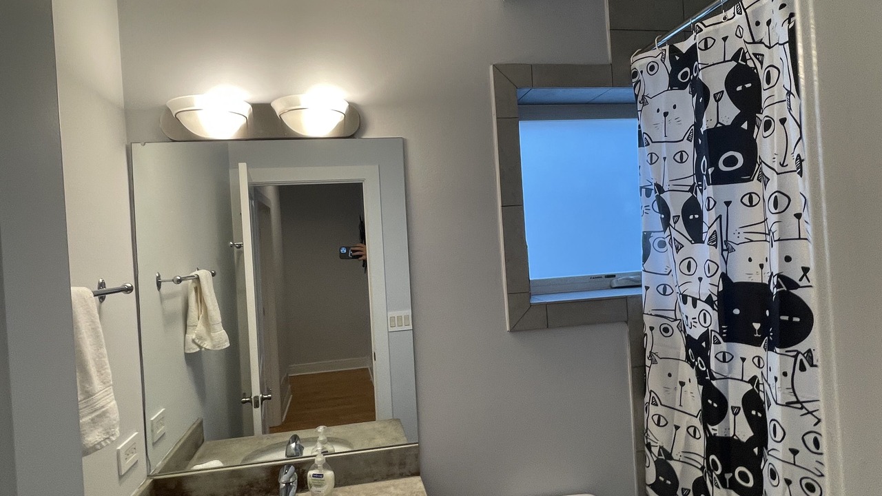 Photo of Bathroom in Wicker Park