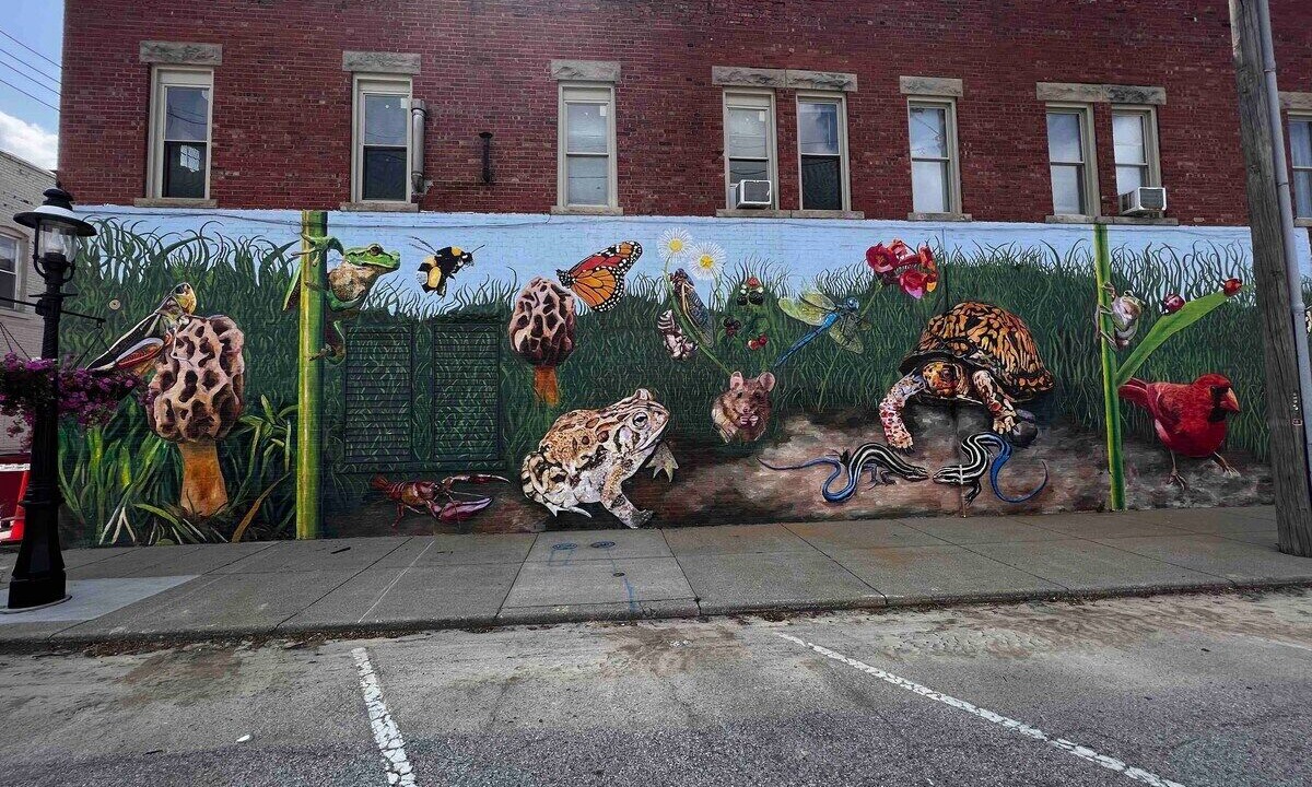 Photo of Outdoor in Robinson