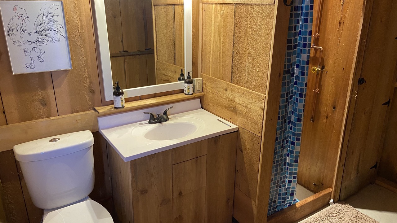 Photo of Bathroom in McLean County