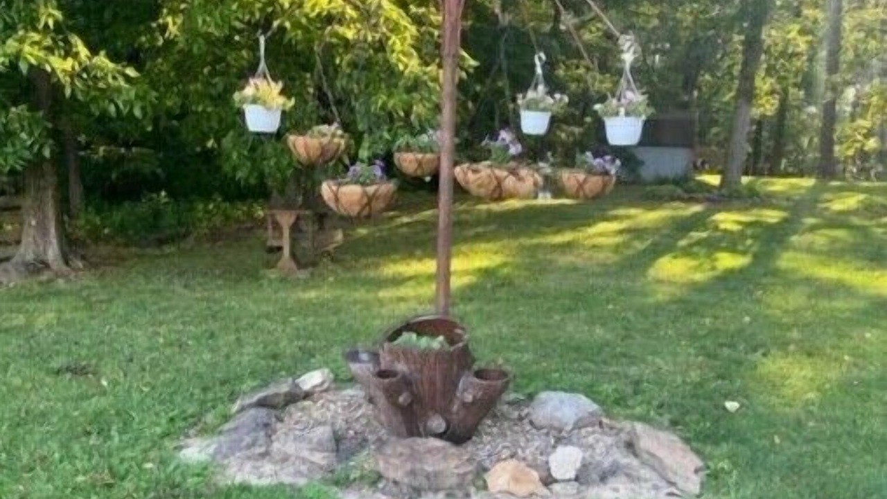 Photo of Outdoor in Ava