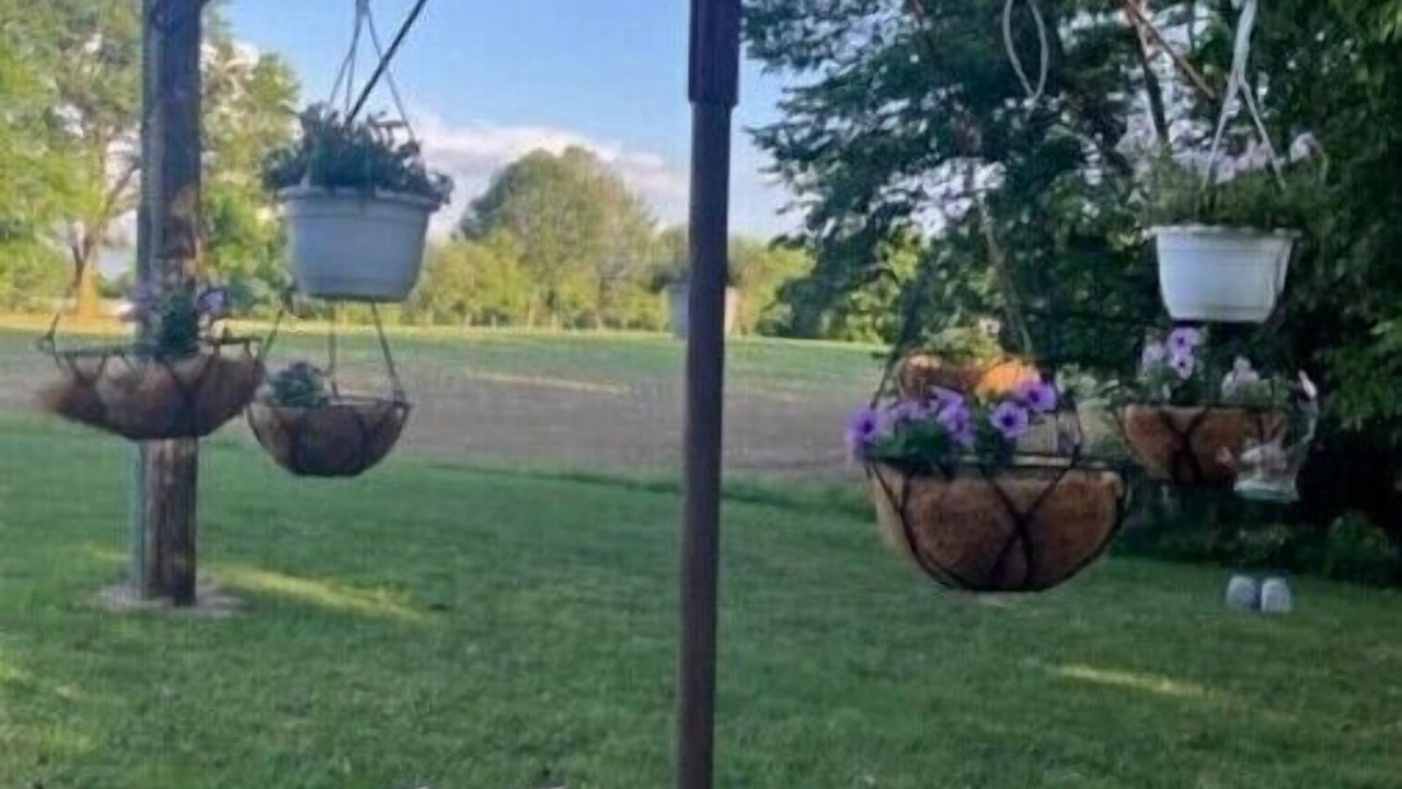 Photo of Outdoor in Ava