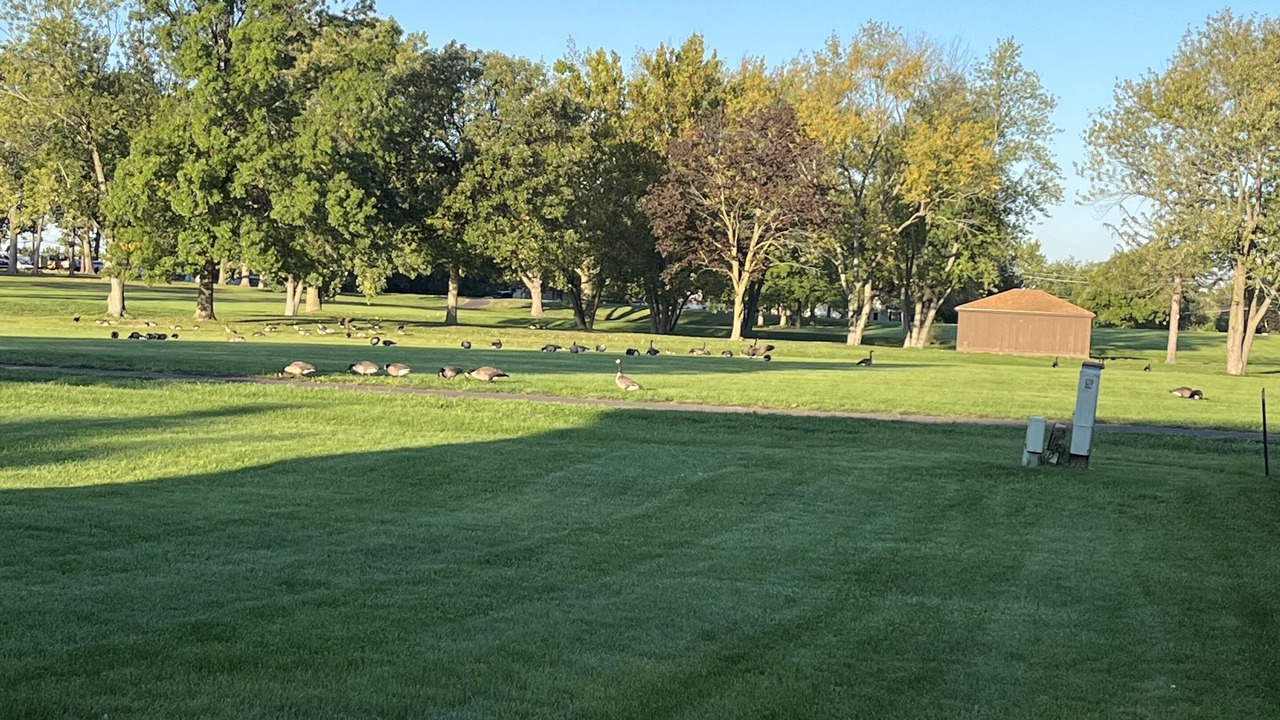Photo of Outdoor in Aurora