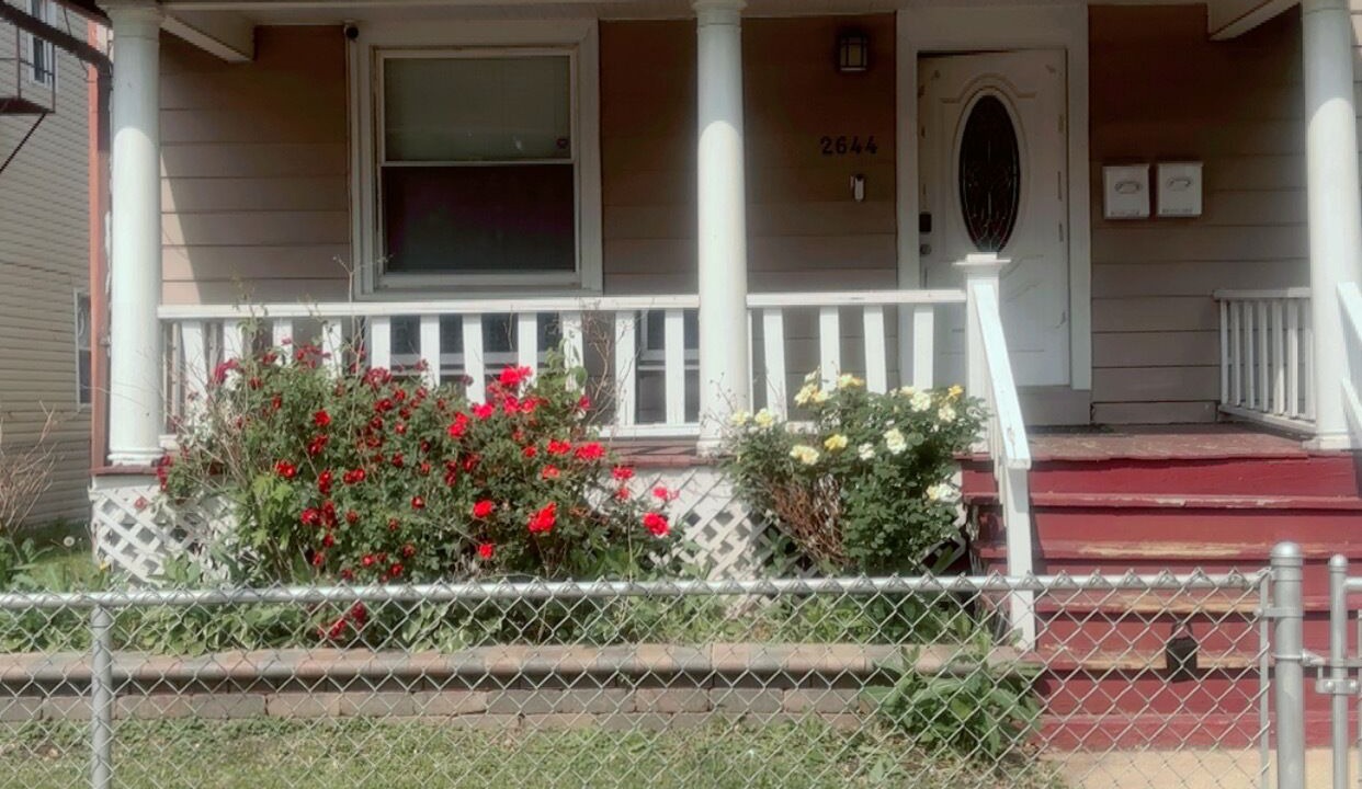 Photo of Outdoor in Cicero