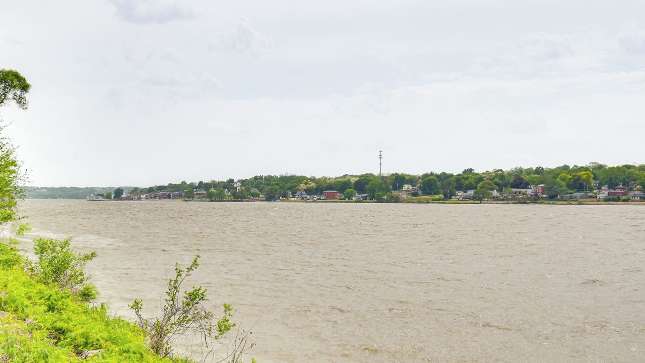 Photo of Others in Port Byron