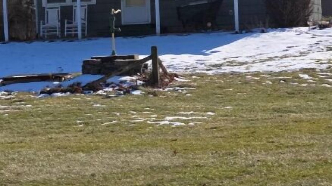 Photo of Outdoor in Adair