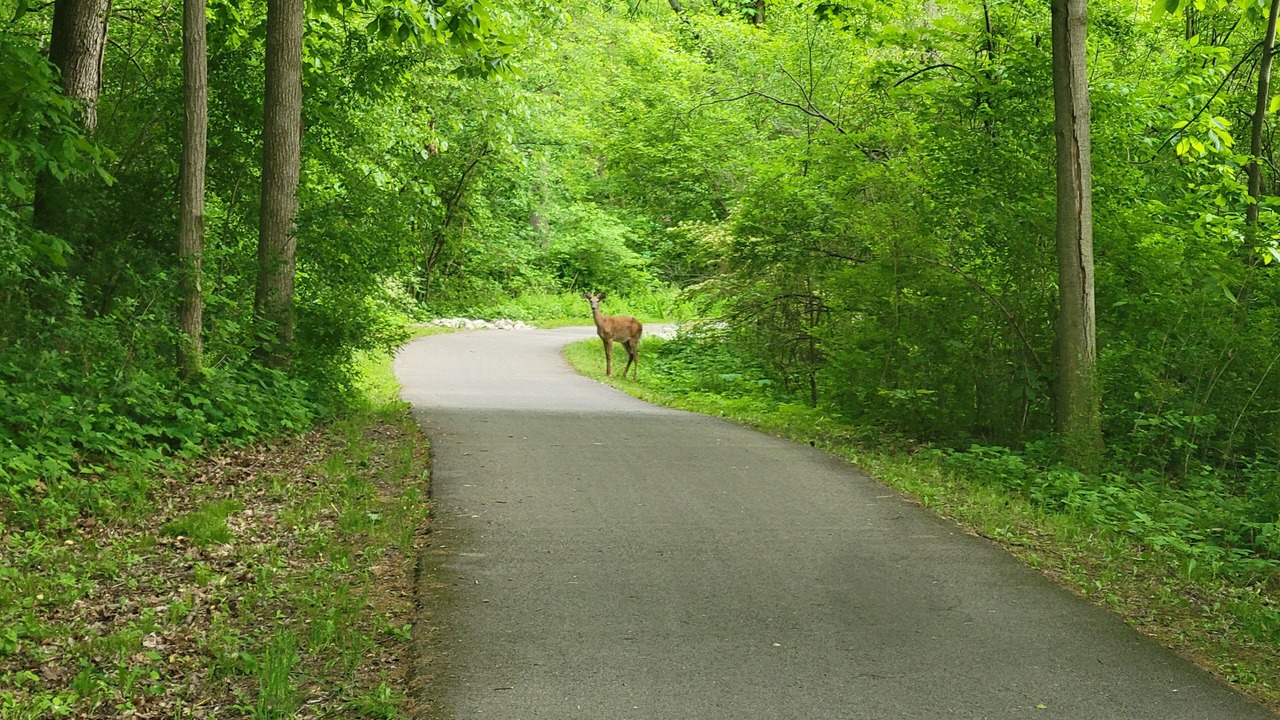 Photo of Others in St. Charles