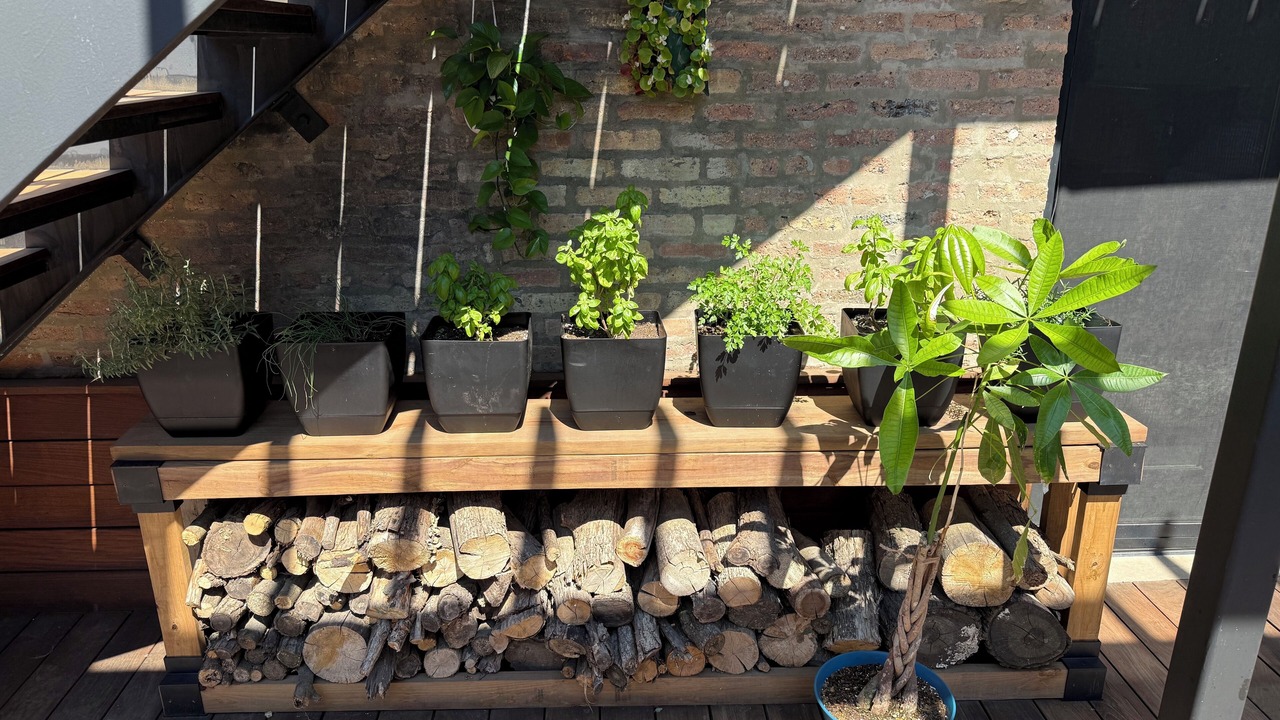 Photo of Patio Balcony in Sheffield Neighbors