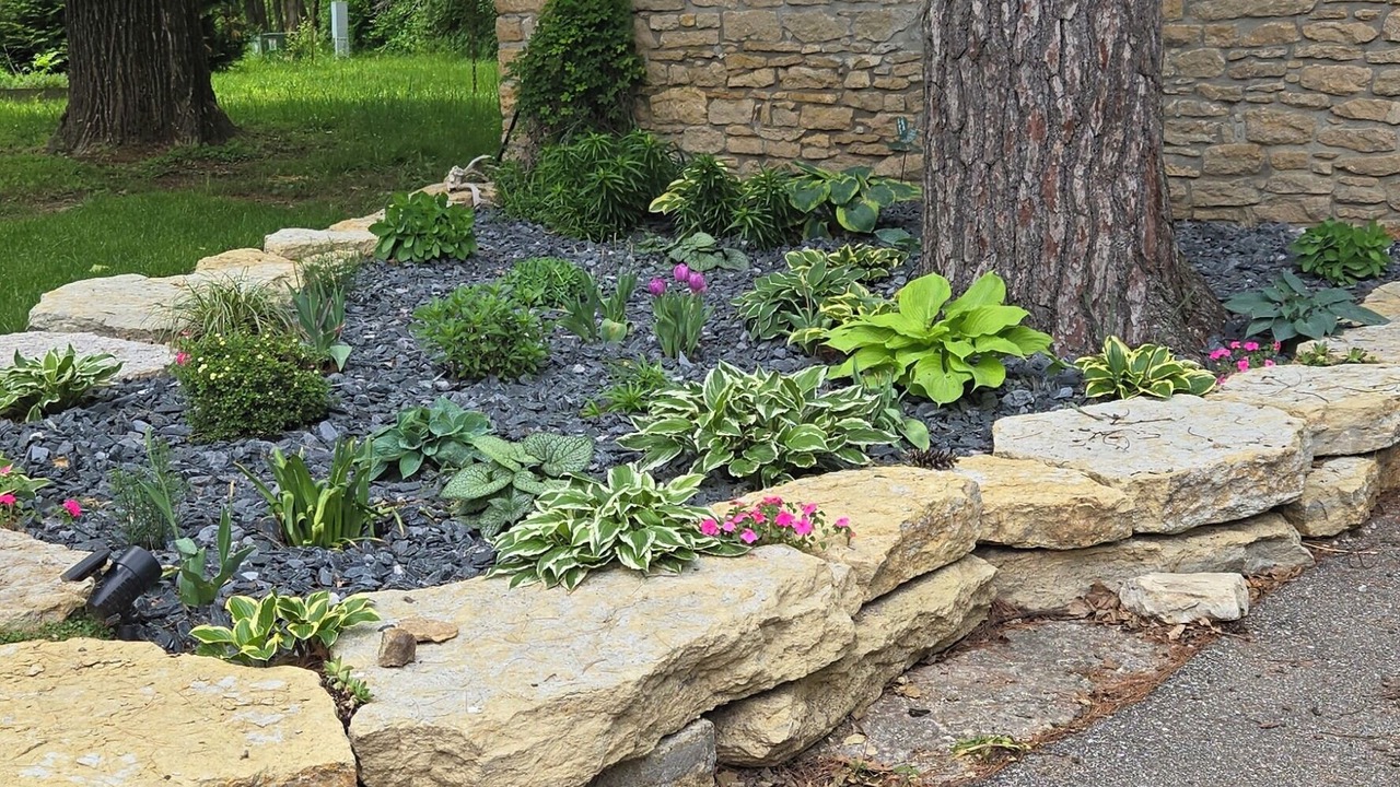 Photo of Outdoor in Carman