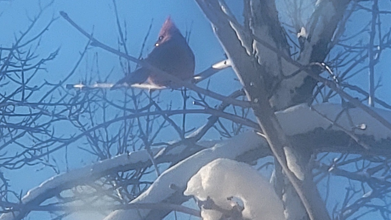 Photo of Others in East Moline