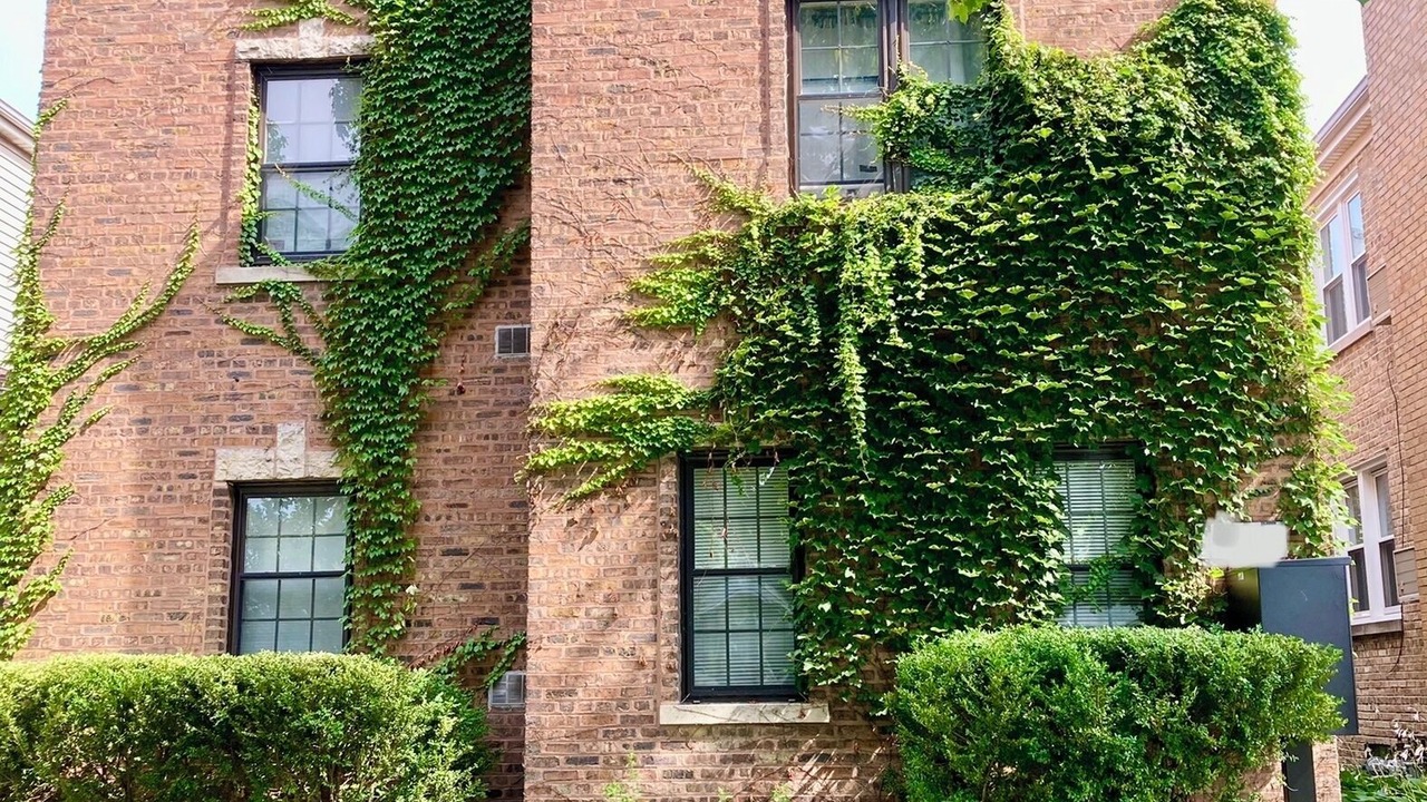 Photo of Outdoor in Evanston
