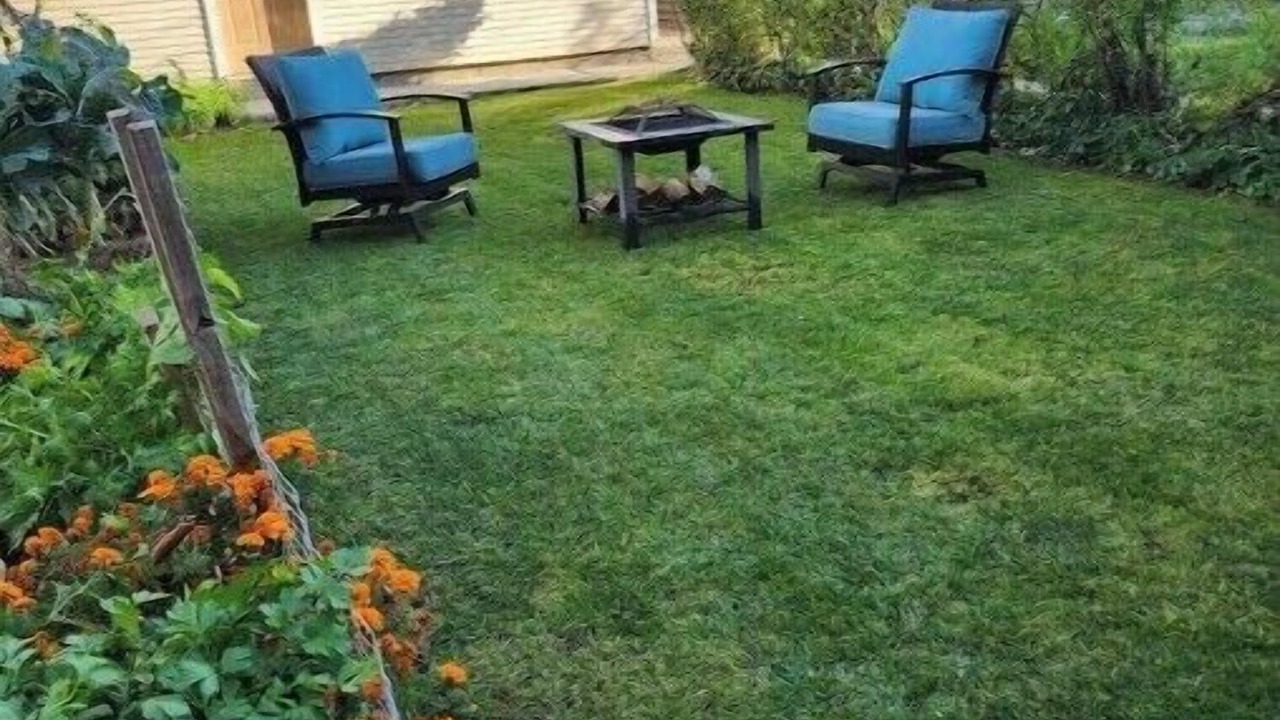 Photo of Patio Balcony in Avondale