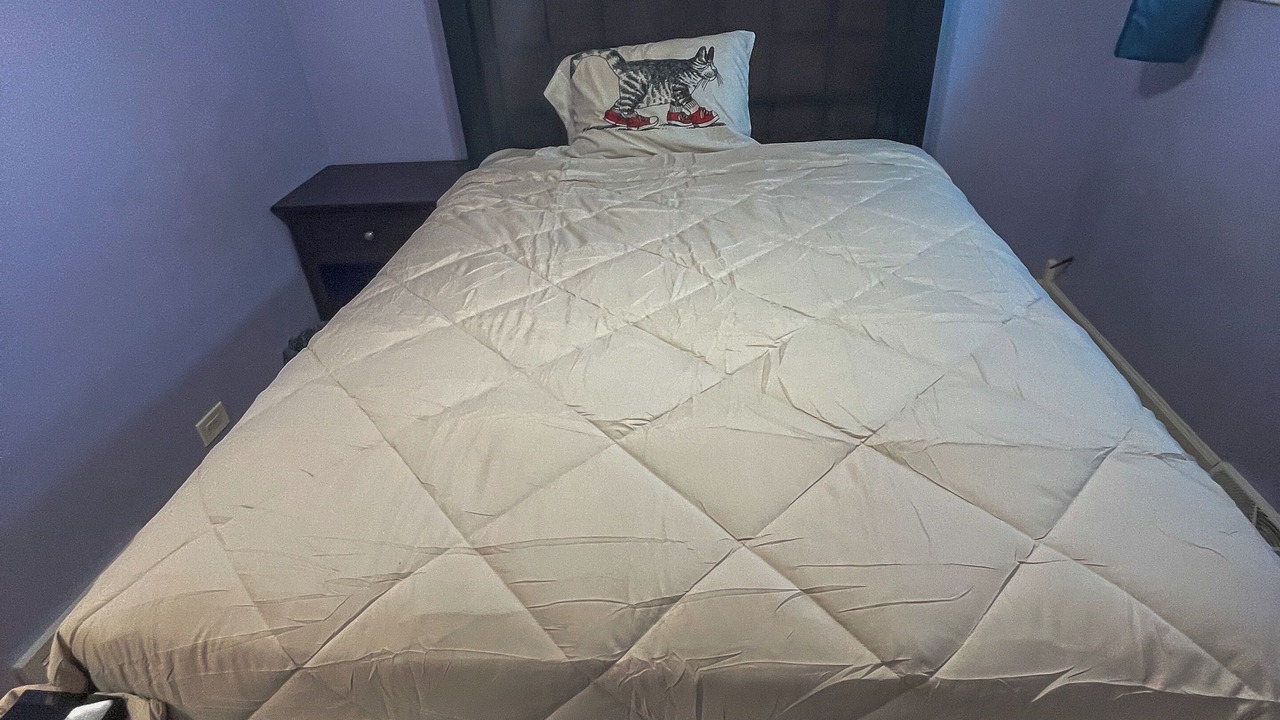 Photo of Bedroom in Skokie