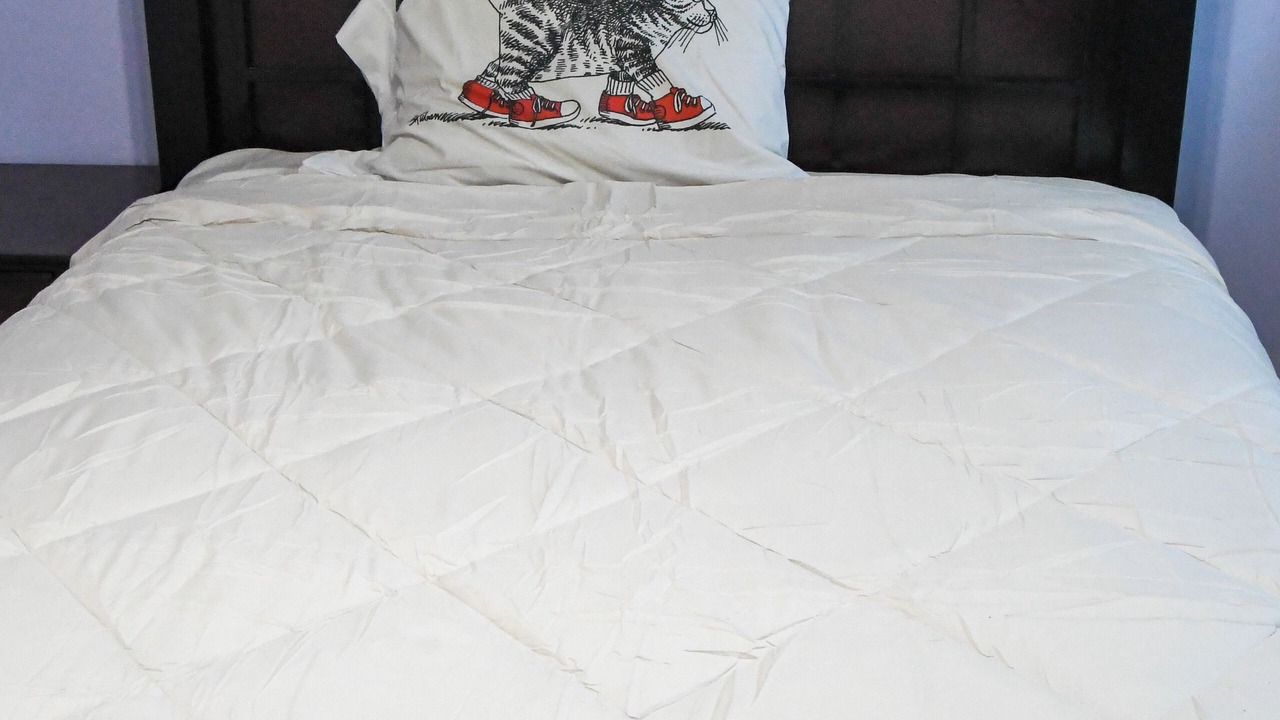 Photo of Bedroom in Skokie