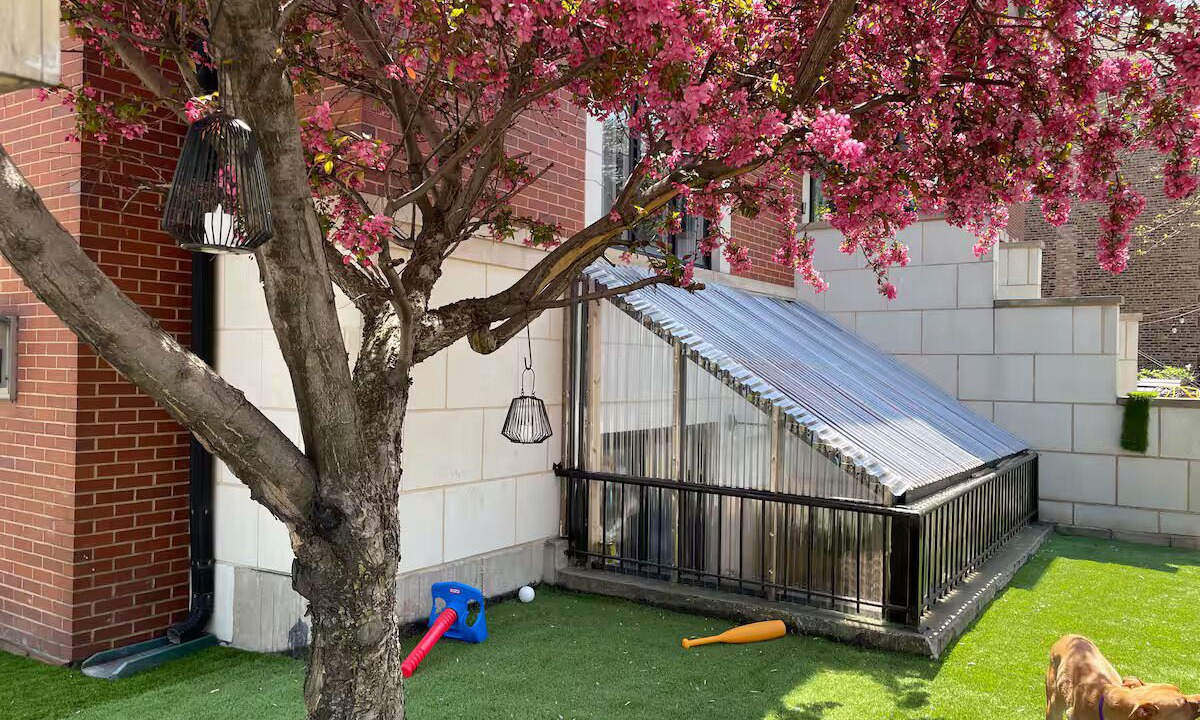 Photo of Outdoor in Bucktown