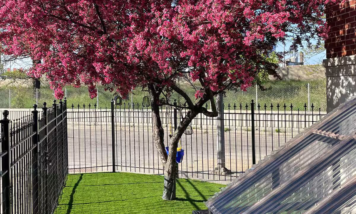 Photo of Outdoor in Bucktown