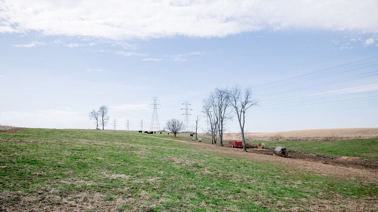 Photo of Others in Orange Prairie