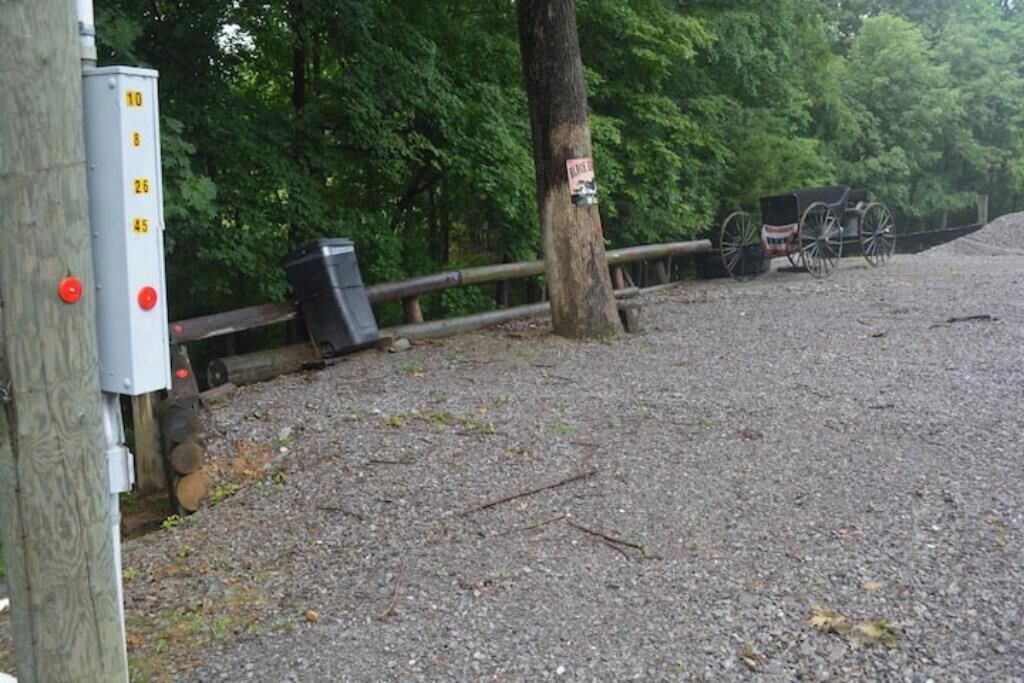 Photo of Others in Gallatin County
