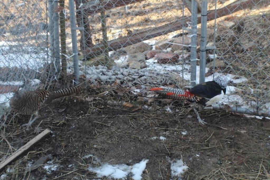 Photo of Others in Gallatin County