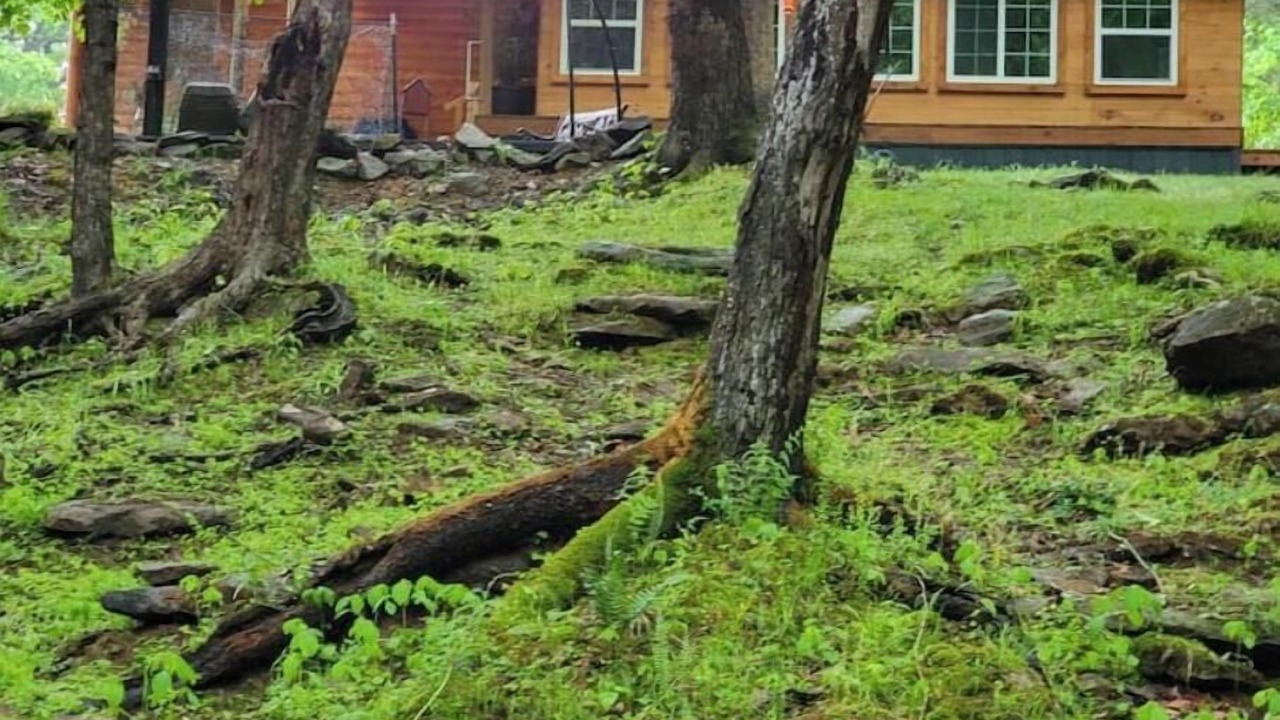 Photo of Outdoor in Gallatin County