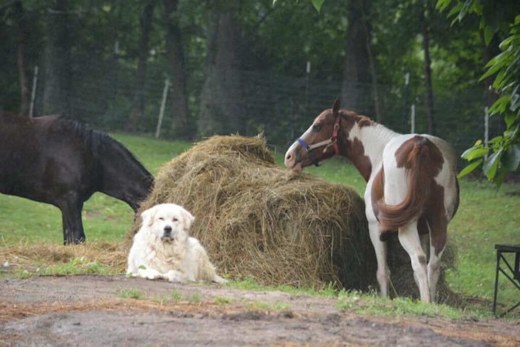 Photo of Others in Gallatin County