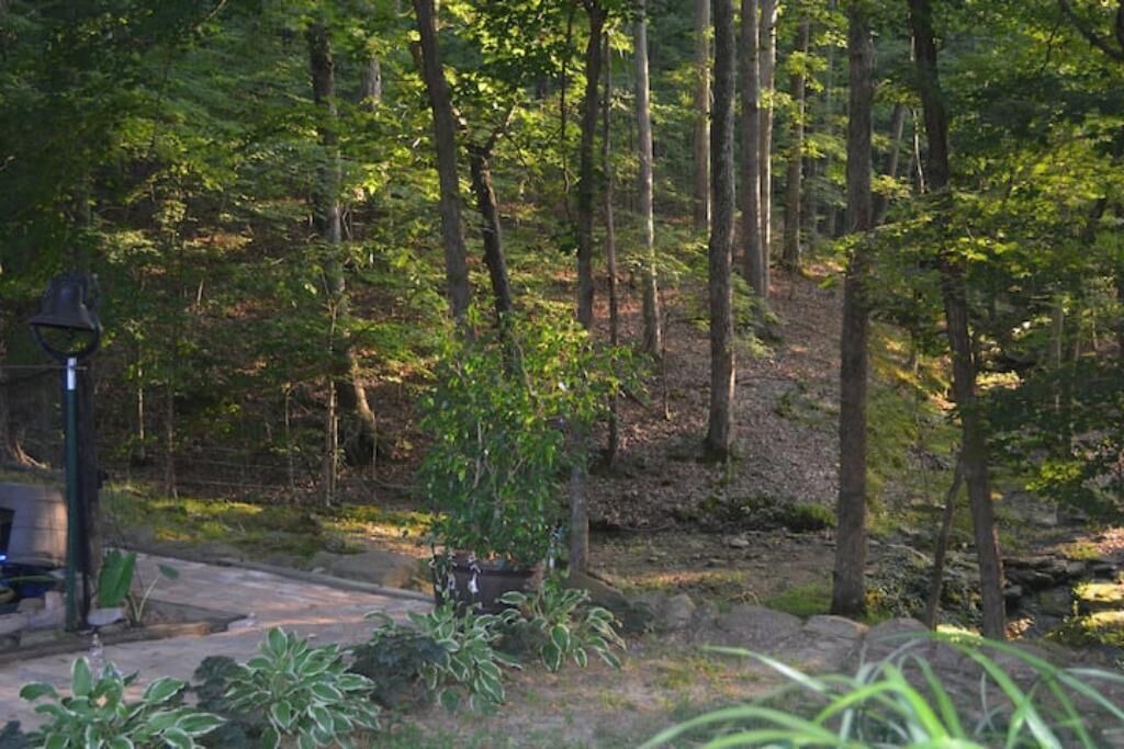 Photo of Outdoor in Gallatin County