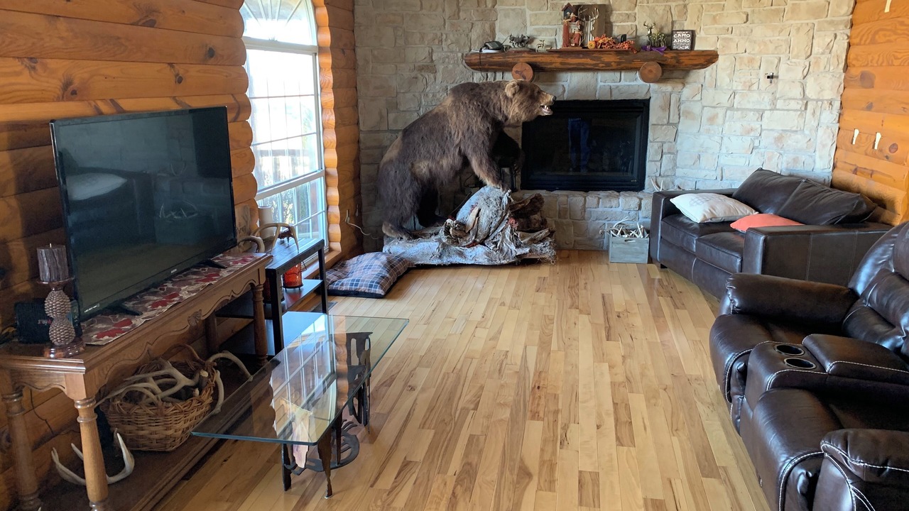 Photo of Livingroom in Michael