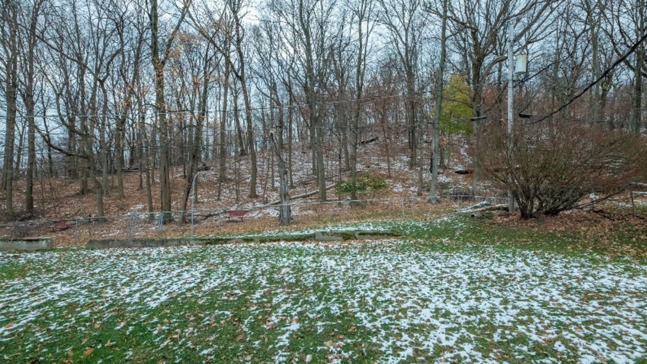 Photo of Others in Peoria Heights