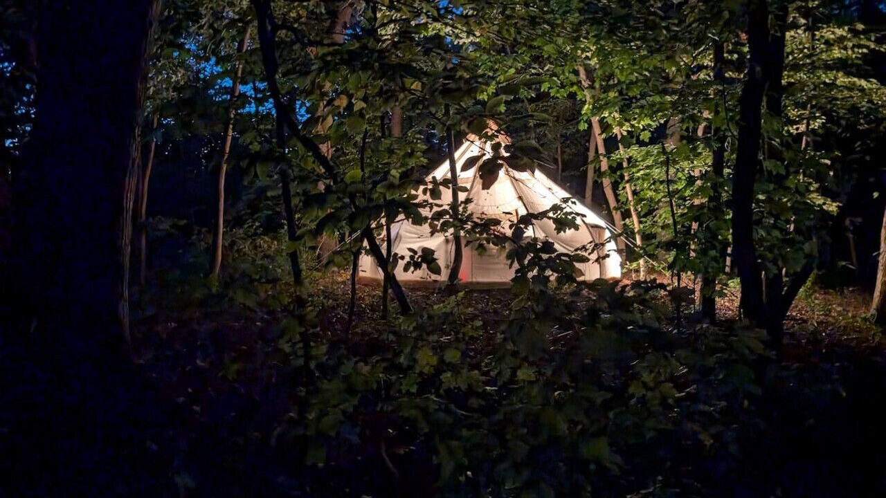 Photo of Others in Camp Grove