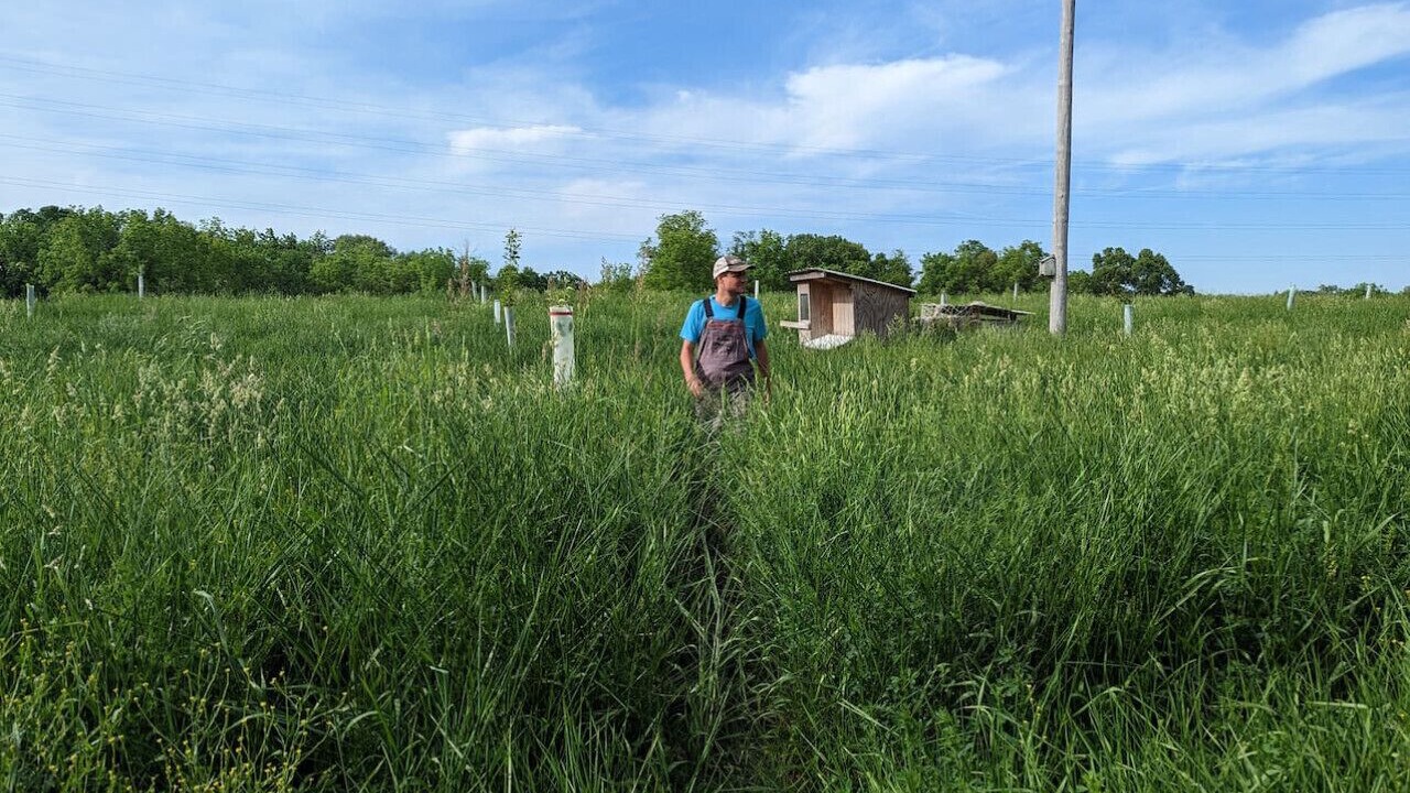 Photo of Others in Camp Grove