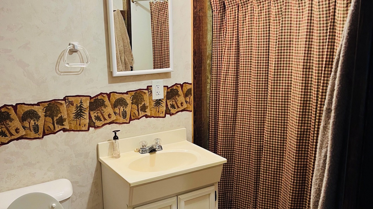 Photo of Bathroom in Ipava