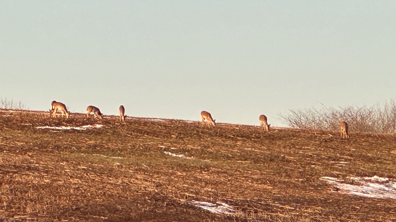 Photo of Others in Hardin County