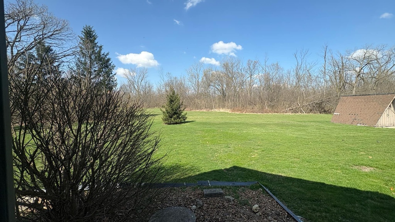 Photo of Outdoor in Homer Glen