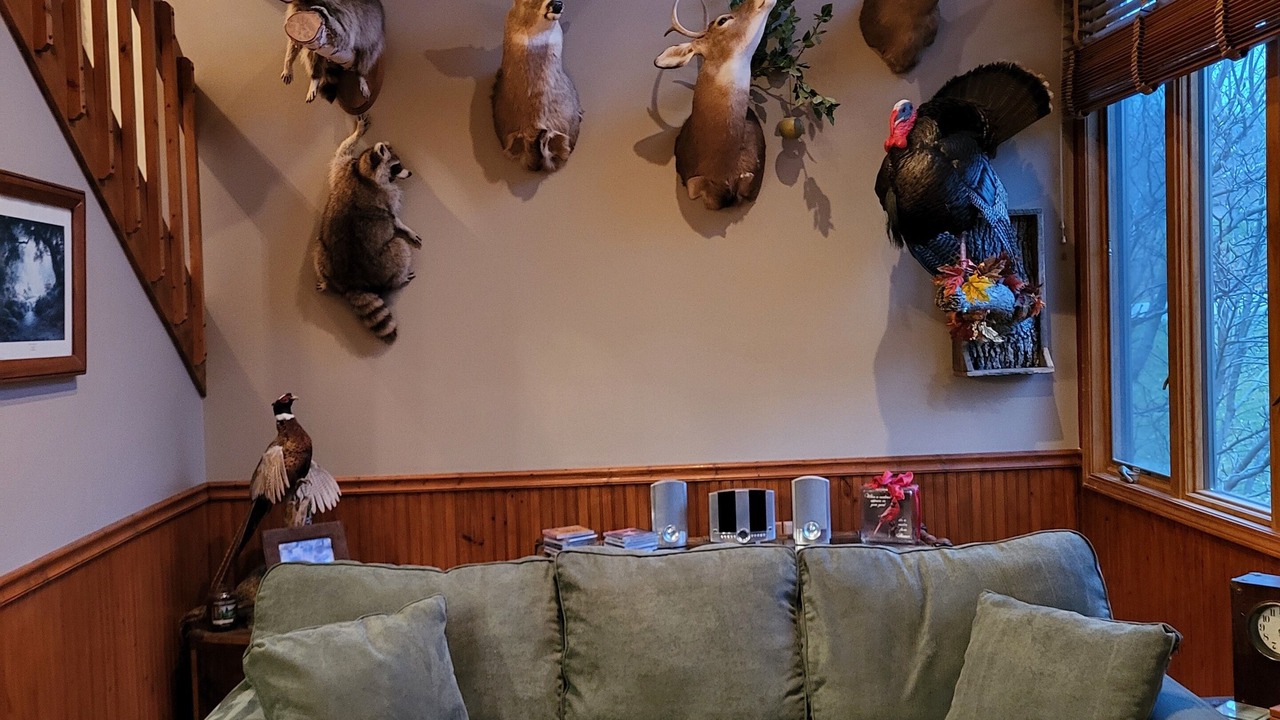 Photo of Others in The Galena Territory