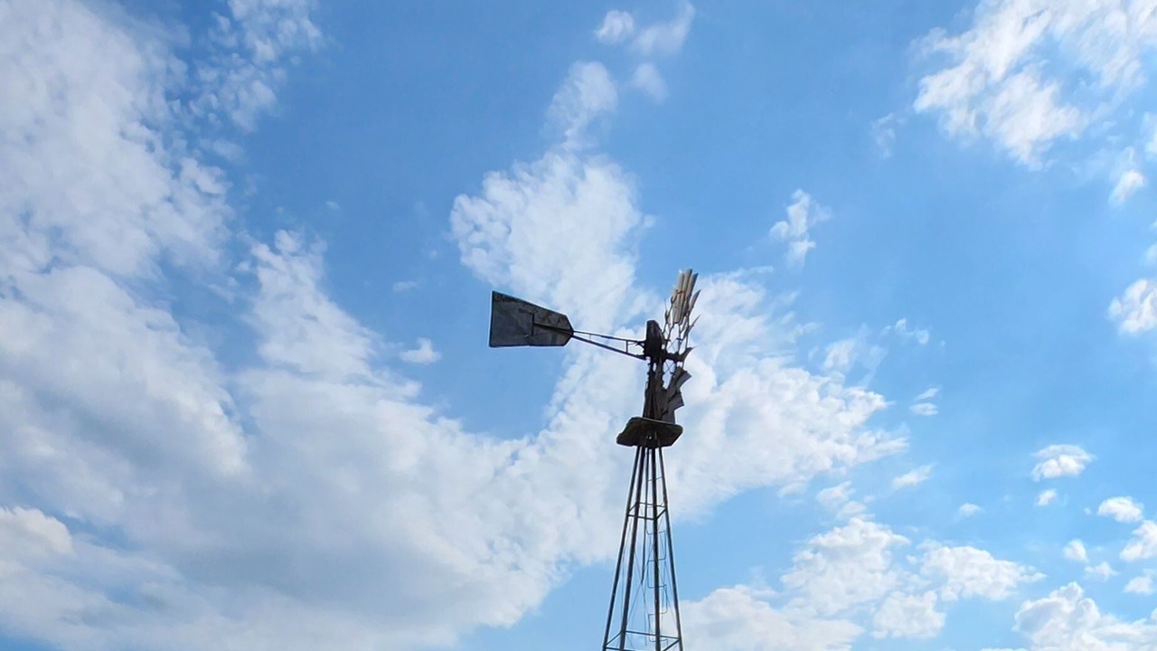 Photo of Others in Niota