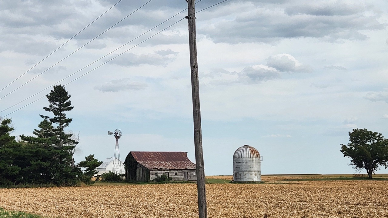 Photo of Others in Niota