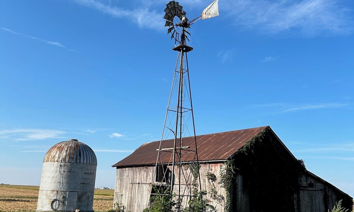 Photo of Others in Niota