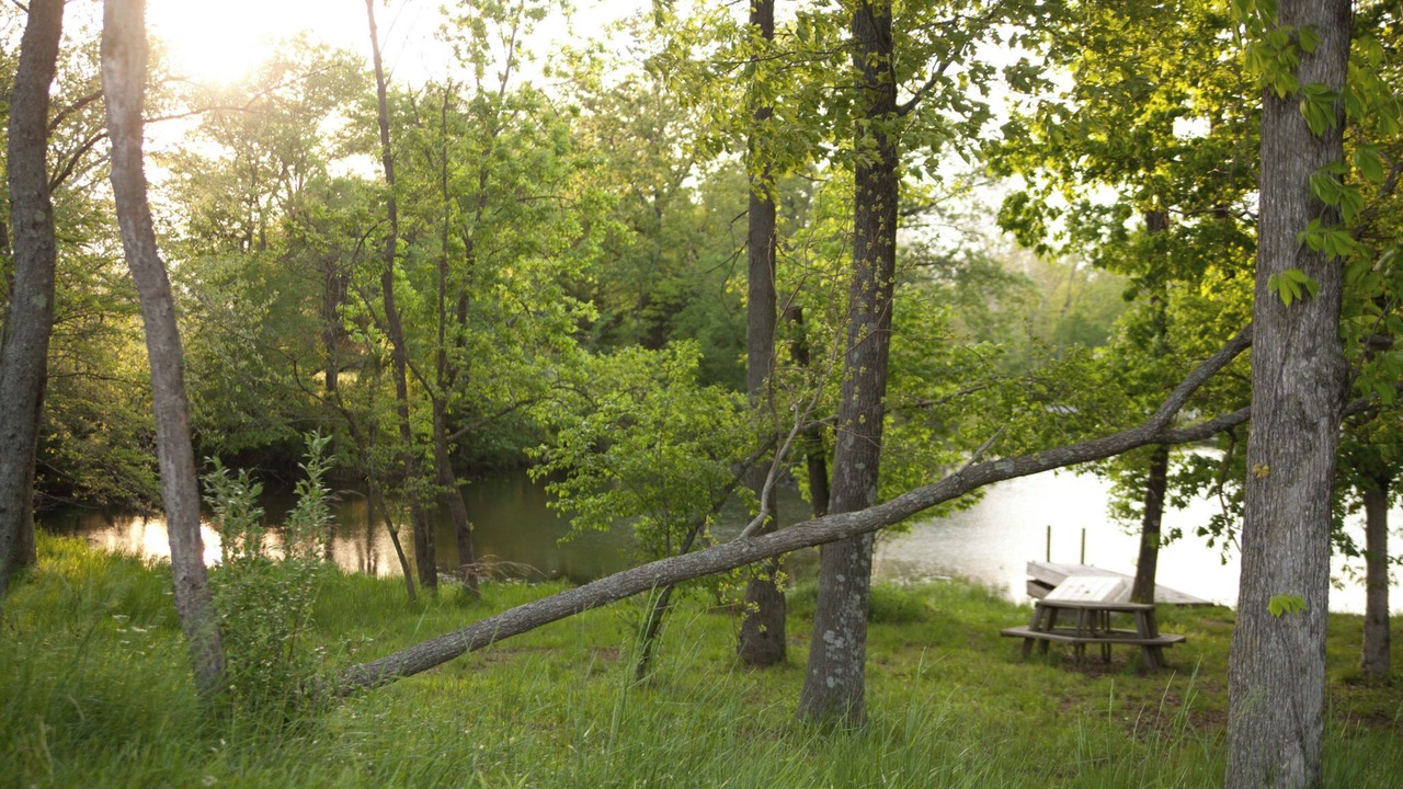 Photo of Others in Carbondale